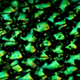 Image for article titled These Decoy Insects Zap the Nasty Bugs That Try to Mate With Them